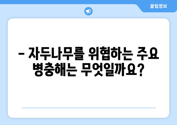 자두나무 병충해와 예방 시기