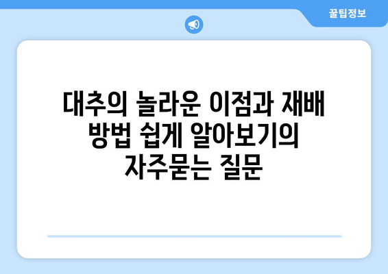 대추의 놀라운 이점과 재배 방법 쉽게 알아보기