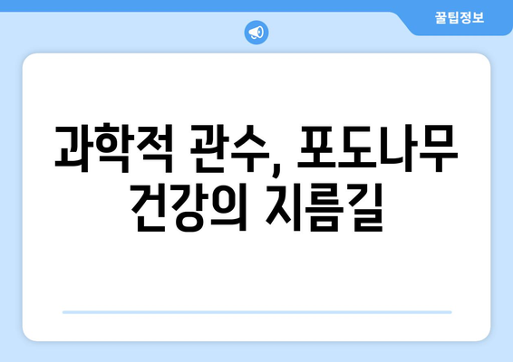 포도나무 수분 요구량 측정 및 관수 기법