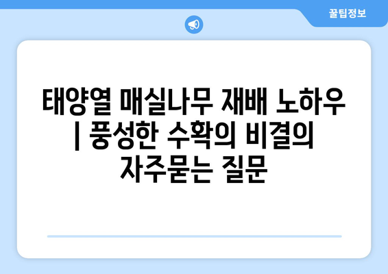 태양열 매실나무 재배 노하우 | 풍성한 수확의 비결