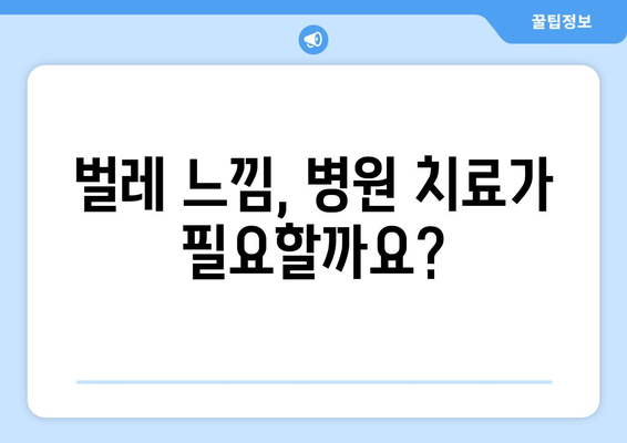 기어다니는 벌레 느낌 해결법 | 원인, 증상 대응