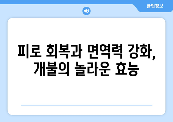 개불의 숨겨진 보물 | 건강에 좋은 다양한 효능