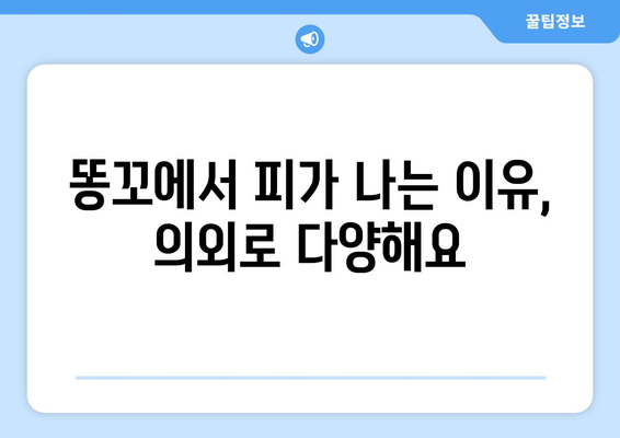 배변 시 항문 출혈의 숨겨진 원인 5가지