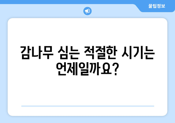 초보자를 위한 감나무 키우기 | 품종과 심기 시기