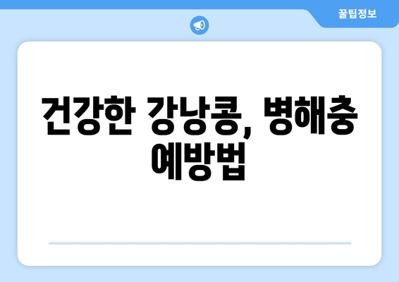 강낭콩 심는 시기와 재배 방법 | 풍부한 수확을 위한 핵심 사항