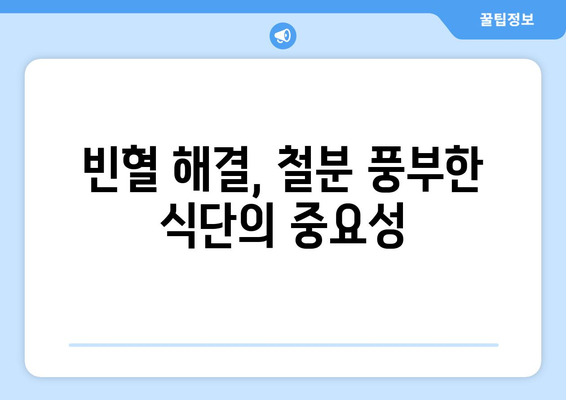 빈혈을 해결하는 필수 음식