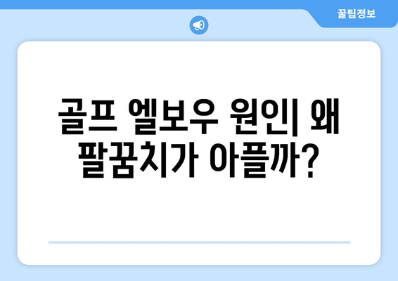 골프 엘보우 | 증상, 원인 및 치료 옵션