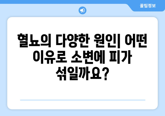 혈뇨 | 원인, 진단, 치료법