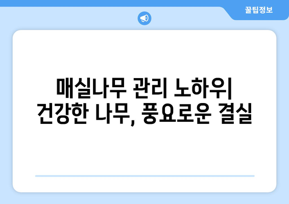 태양열 매실나무 재배 노하우 | 풍성한 수확의 비결