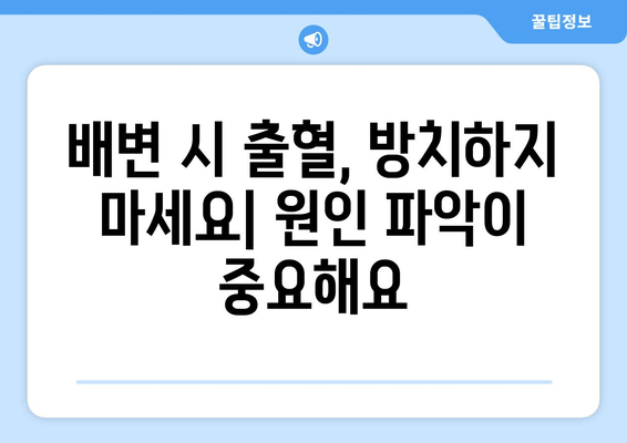 배변 시 항문 출혈의 숨겨진 원인 5가지