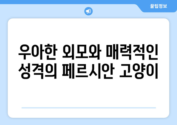 페르시안 고양이의 특징과 관리법 알아보기