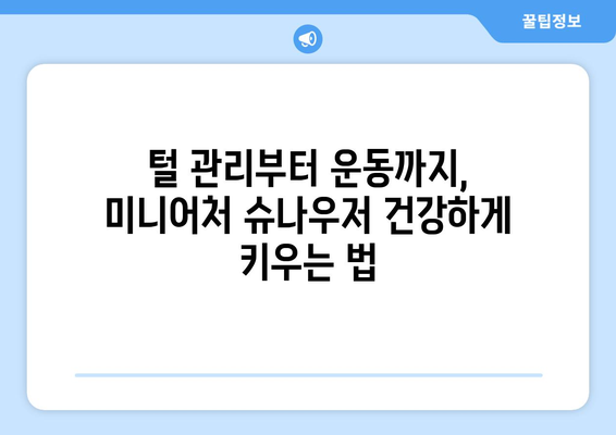 미니어처 슈나우저 | 매력, 성격 및 케어 가이드