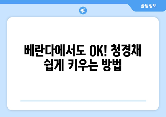 청경채 키우기 | 싱싱한 잎사귀를 위한 재배법