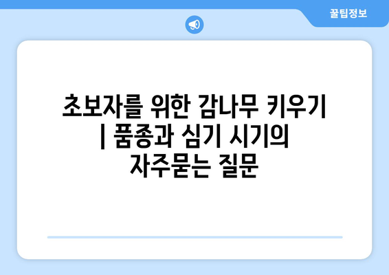 초보자를 위한 감나무 키우기 | 품종과 심기 시기