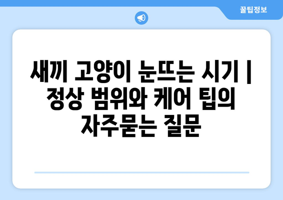 새끼 고양이 눈뜨는 시기 | 정상 범위와 케어 팁