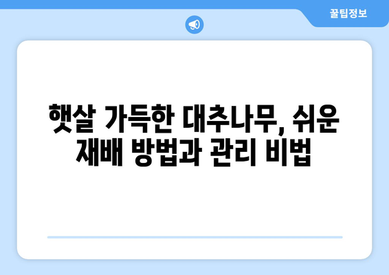 대추의 놀라운 이점과 재배 방법 쉽게 알아보기