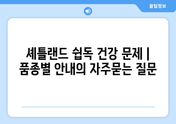 셰틀랜드 쉽독 건강 문제 | 품종별 안내