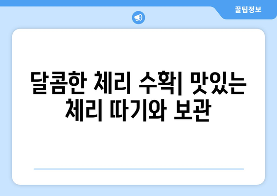 풍성한 체리 수확를 위한 키우기 가이드