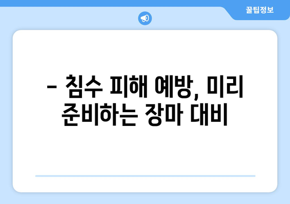 장마철 방재 가이드 | 집안 관리, 외출 팁 및 안전 수칙