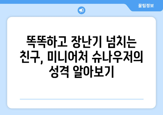 미니어처 슈나우저 | 매력, 성격 및 케어 가이드