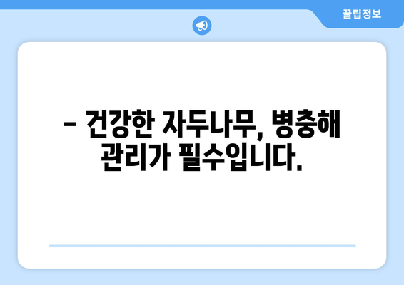 자두나무 병충해와 예방 시기