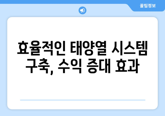 태양열 매실나무 재배 노하우 | 풍성한 수확의 비결