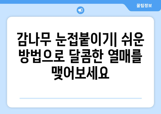 감나무 눈접붙이며 달콤한 열매를 키우기