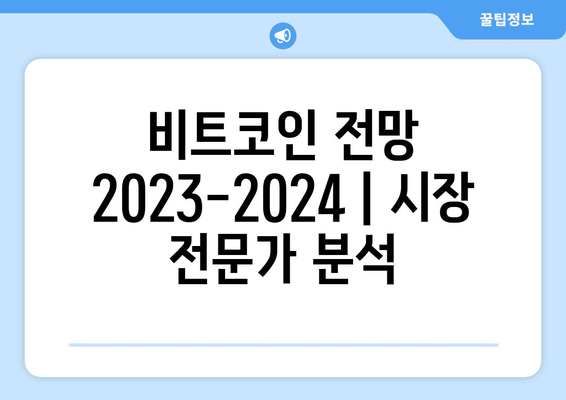 비트코인 전망 2023-2024 | 시장 전문가 분석