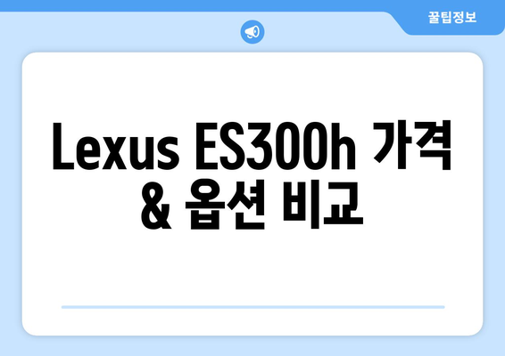 Lexus ES300h 모델별 가격과 옵션 안내