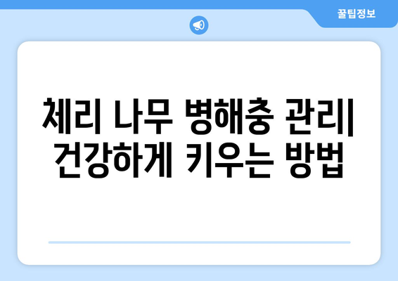 풍성한 체리 수확를 위한 키우기 가이드