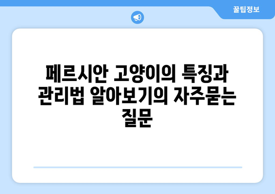 페르시안 고양이의 특징과 관리법 알아보기