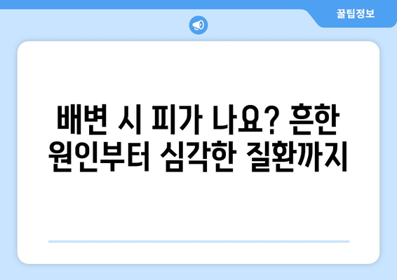 배변 시 항문 출혈의 숨겨진 원인 5가지