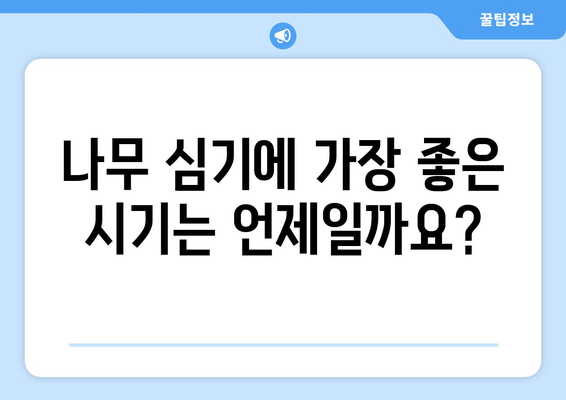 나무 심는 완벽 가이드 | 시기, 방법, 재배법