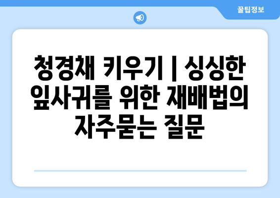 청경채 키우기 | 싱싱한 잎사귀를 위한 재배법