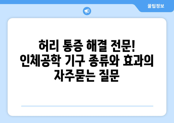 허리 통증 해결 전문! 인체공학 기구 종류와 효과