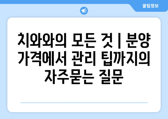 치와와의 모든 것 | 분양 가격에서 관리 팁까지