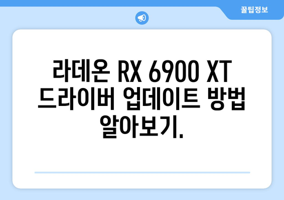 라데온 RX 6900 XT 드라이버 업데이트 및 다운로드