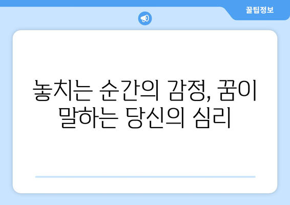 비행기 놓치는 꿈 해몽 | 꿈속의 비행기와 놓치는 의미