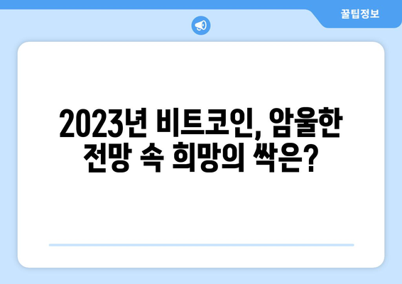 비트코인 전망 2023-2024 | 시장 전문가 분석