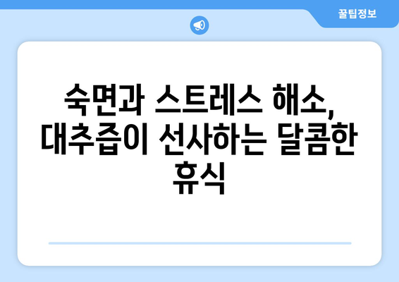 대추즙의 6가지 숨겨진 효능 | 건강과 활력을 되살리세요