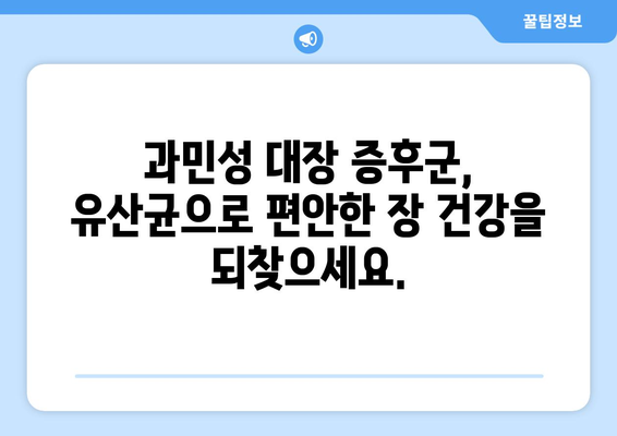 과민성 대장증후군에 효과적인 유산균 | 증상완화를 위한 필수품