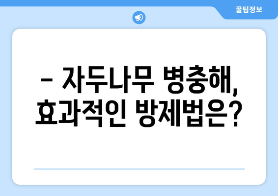 자두나무 병충해와 예방 시기