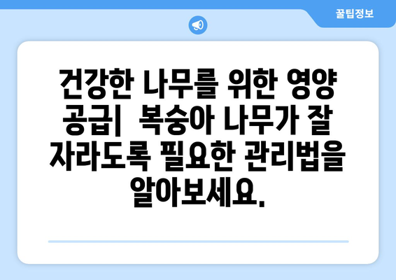 복숭아나무를 위한 포괄적 가이드 | 심기, 보호, 열매의 마법