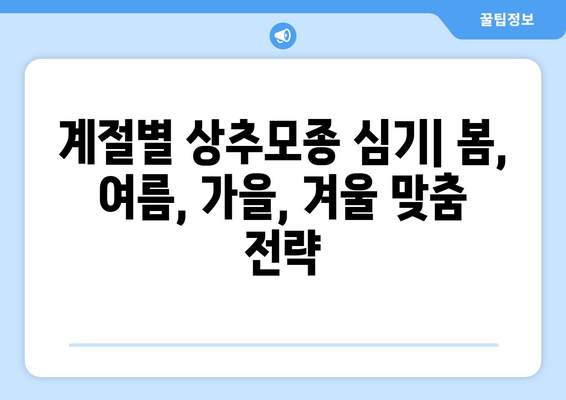 상추모종 심기 | 계절별 가이드와 팁으로 풍성한 수확 거머지기