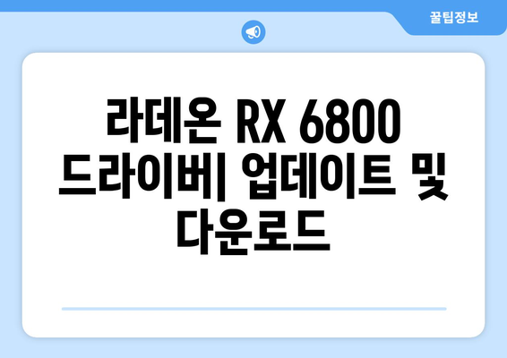 라데온 RX 6800 드라이버 | 업데이트 및 다운로드