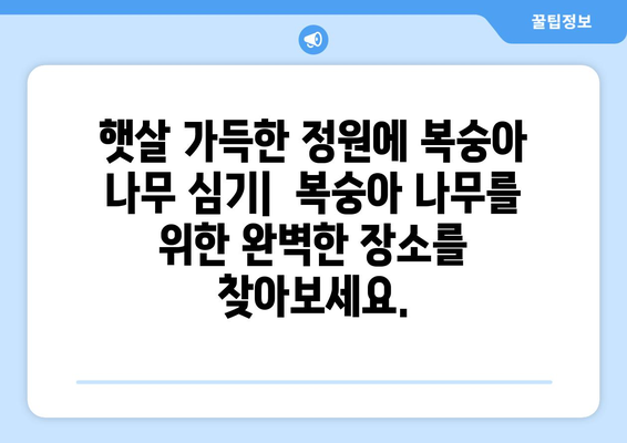 복숭아나무를 위한 포괄적 가이드 | 심기, 보호, 열매의 마법