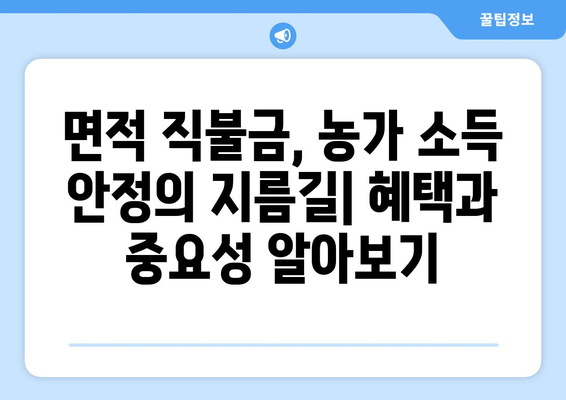 면적 직불금 한눈에 | 자격 요건, 지급 기준, 신청 방법