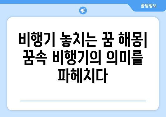 비행기 놓치는 꿈 해몽 | 꿈속의 비행기와 놓치는 의미