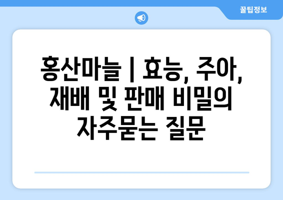 홍산마늘 | 효능, 주아, 재배 및 판매 비밀