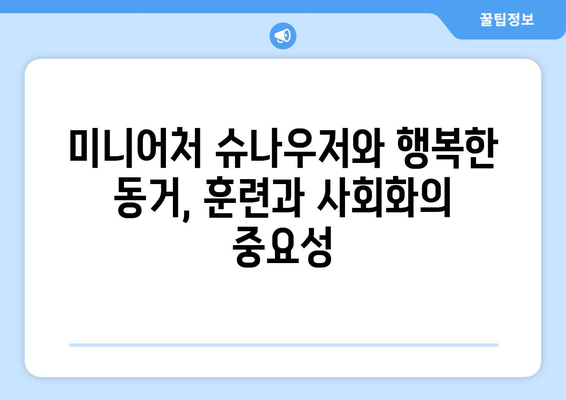 미니어처 슈나우저 | 매력, 성격 및 케어 가이드